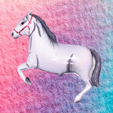 Load image into Gallery viewer, Equestrian horse party balloon / horse racing / Kentucky Derby / rodeo / farm / Western / cowboy and cowgirl birthday party decorations