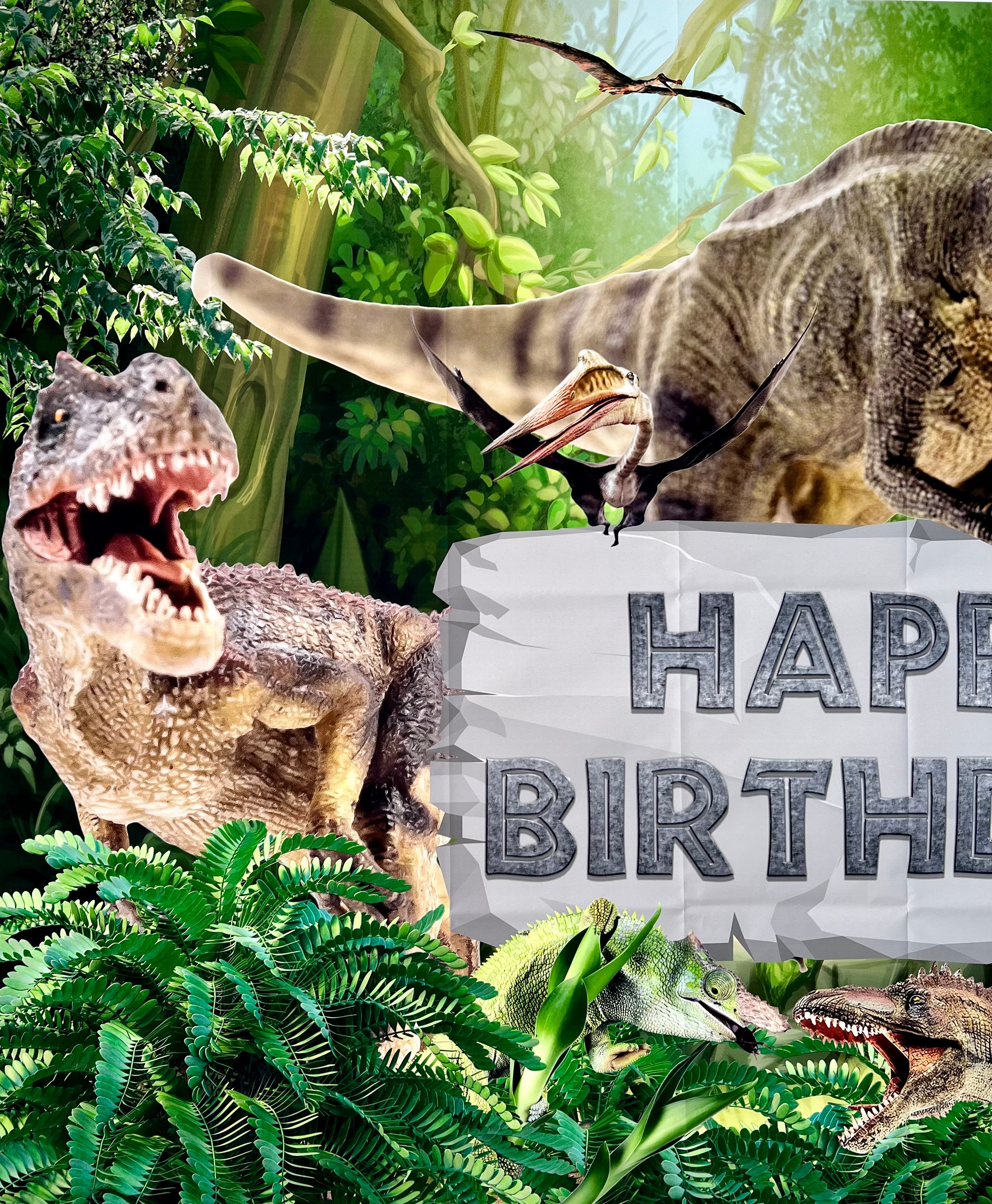 Dinosaur Photo Backdrop – Kids Birthday Party Vinyl Banner