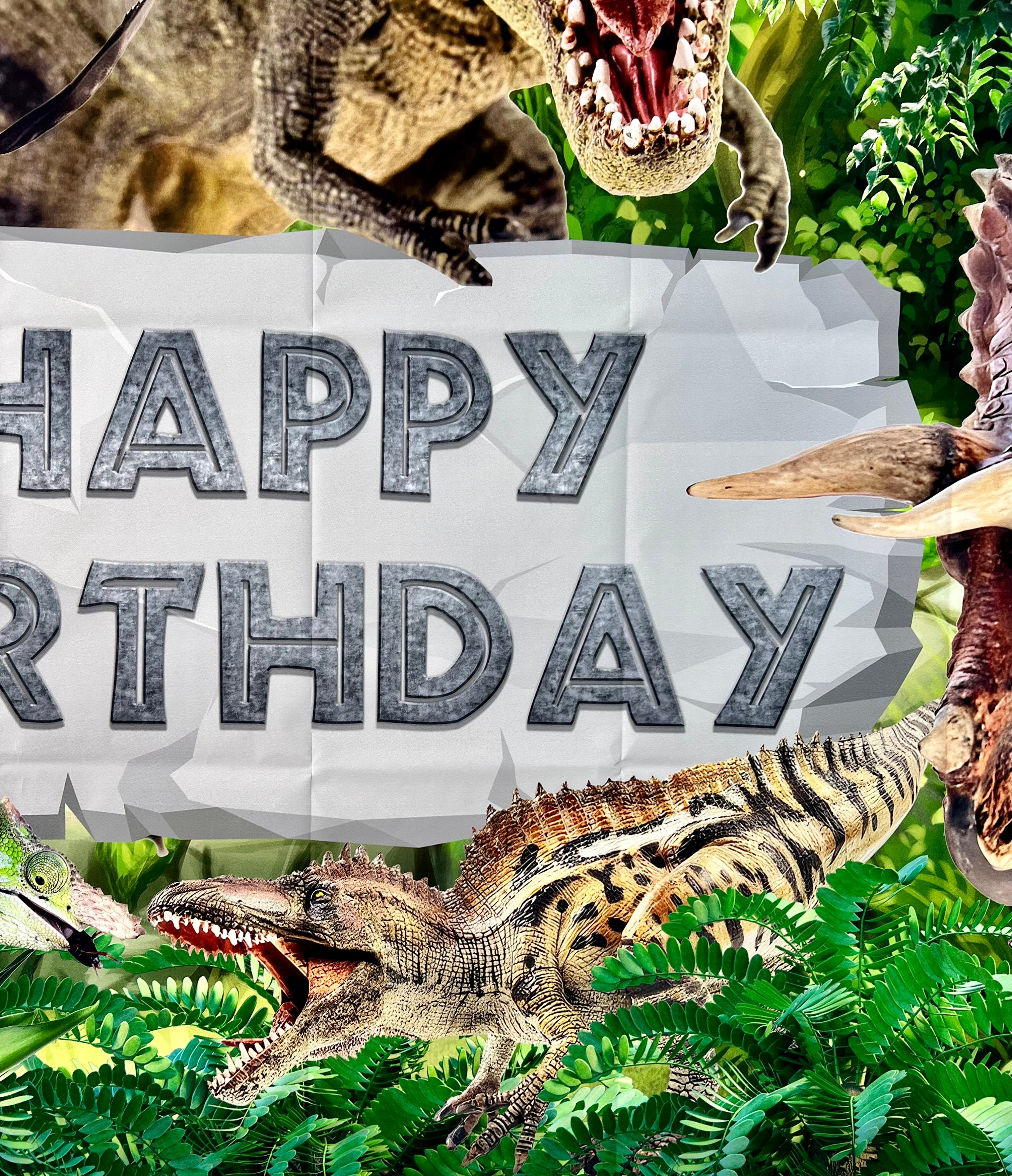 Dinosaur Photo Backdrop – Kids Birthday Party Vinyl Banner