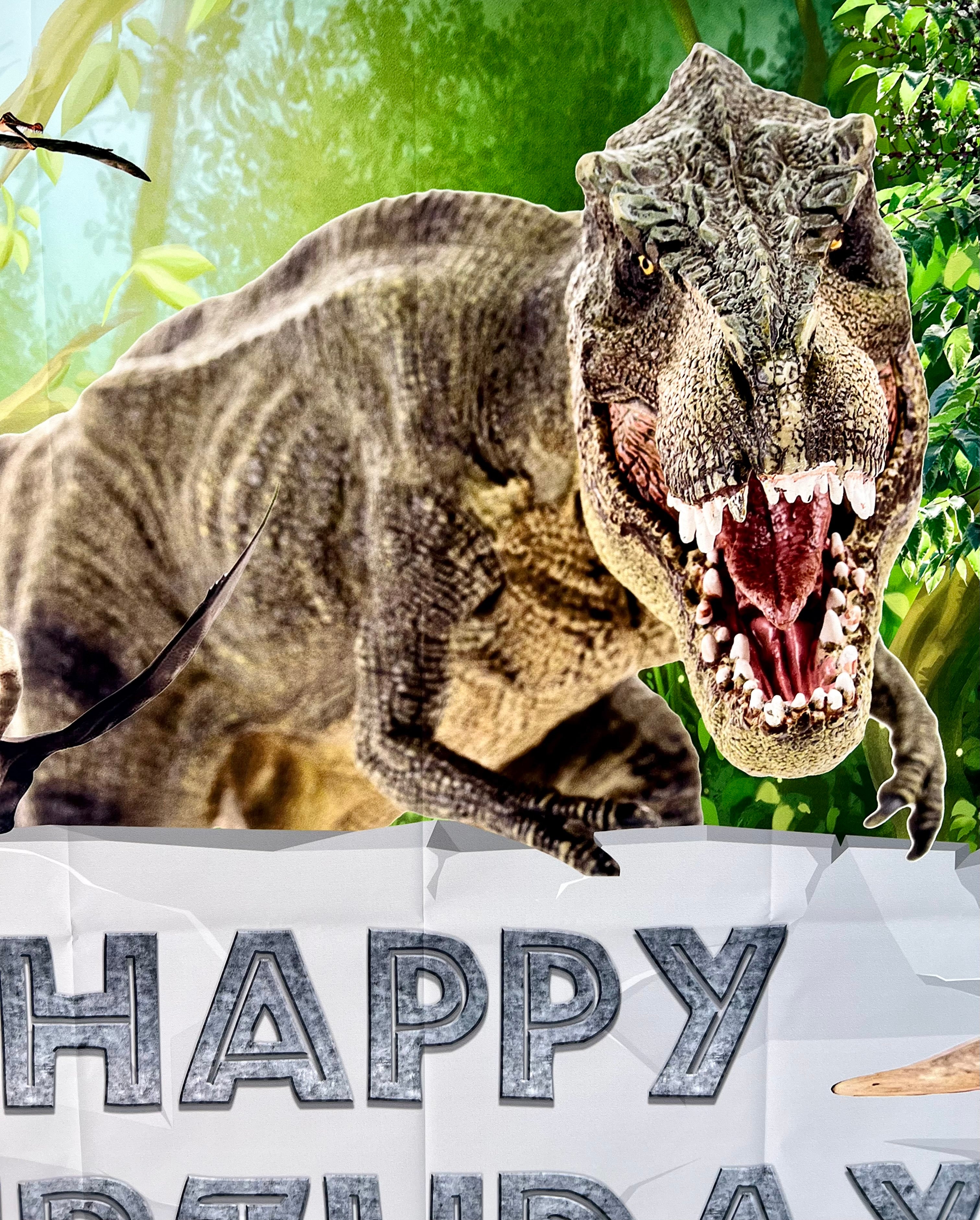 Dinosaur Photo Backdrop – Kids Birthday Party Vinyl Banner