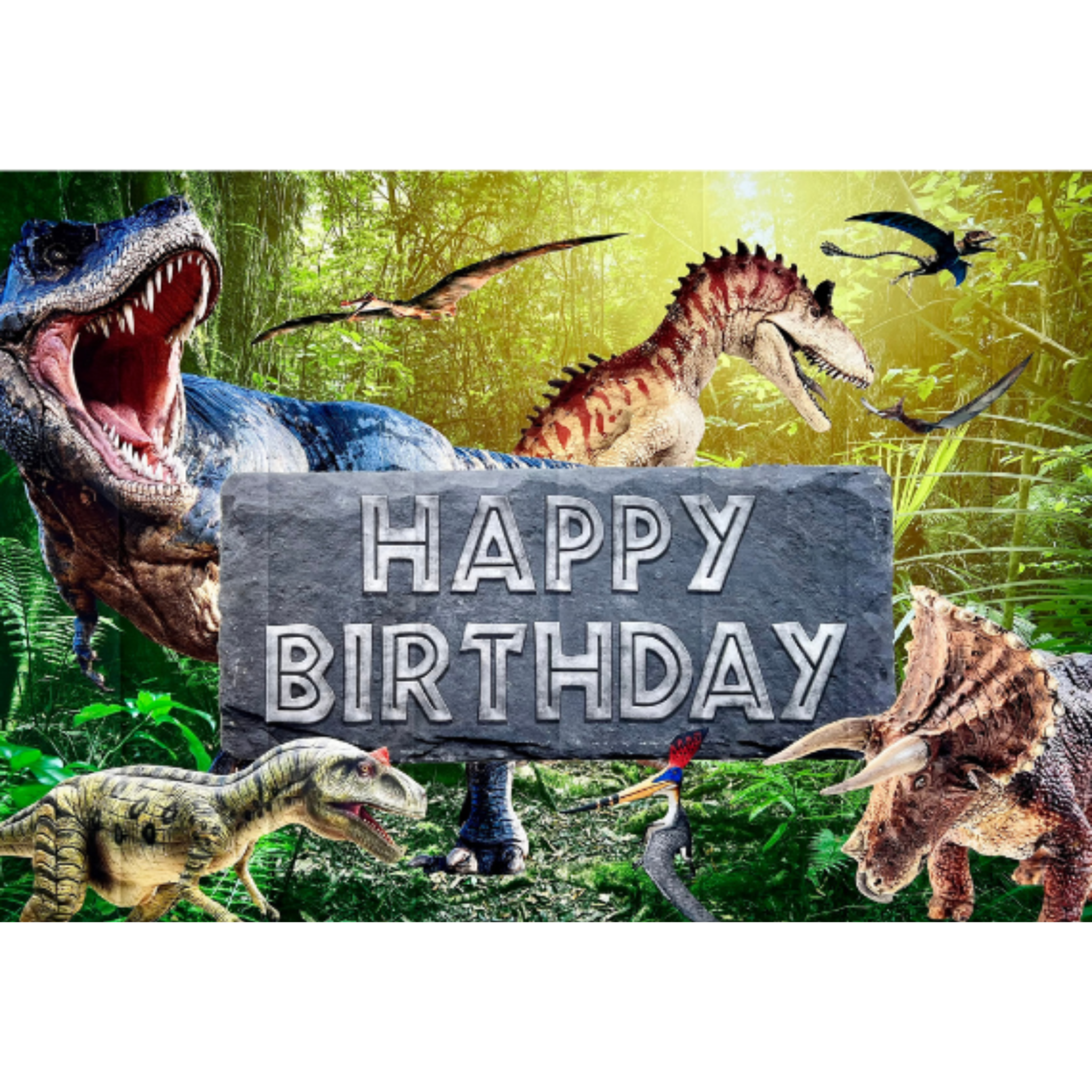 Dinosaur Photo Backdrop – Kids Birthday Party Vinyl Banner