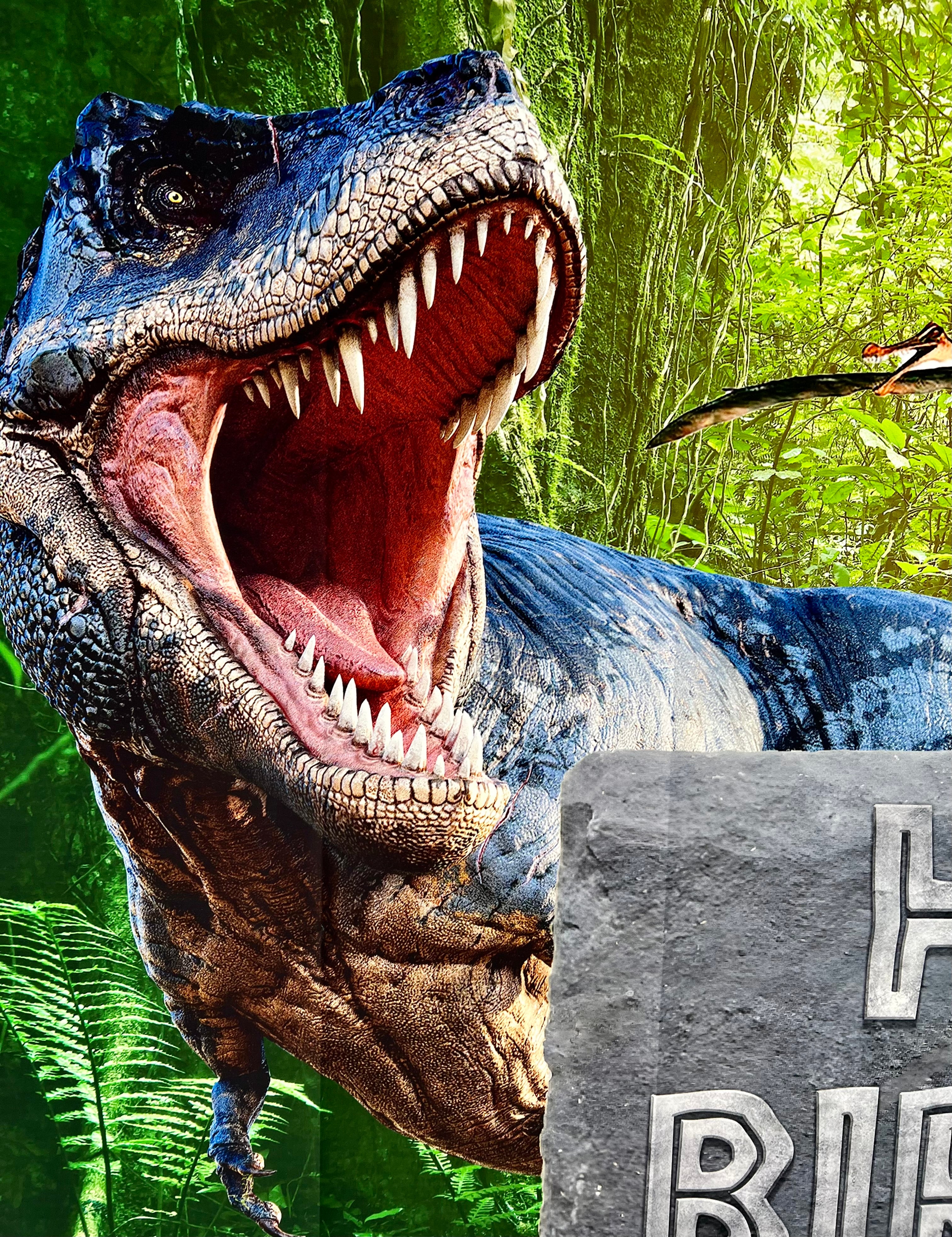 Dinosaur Photo Backdrop – Kids Birthday Party Vinyl Banner