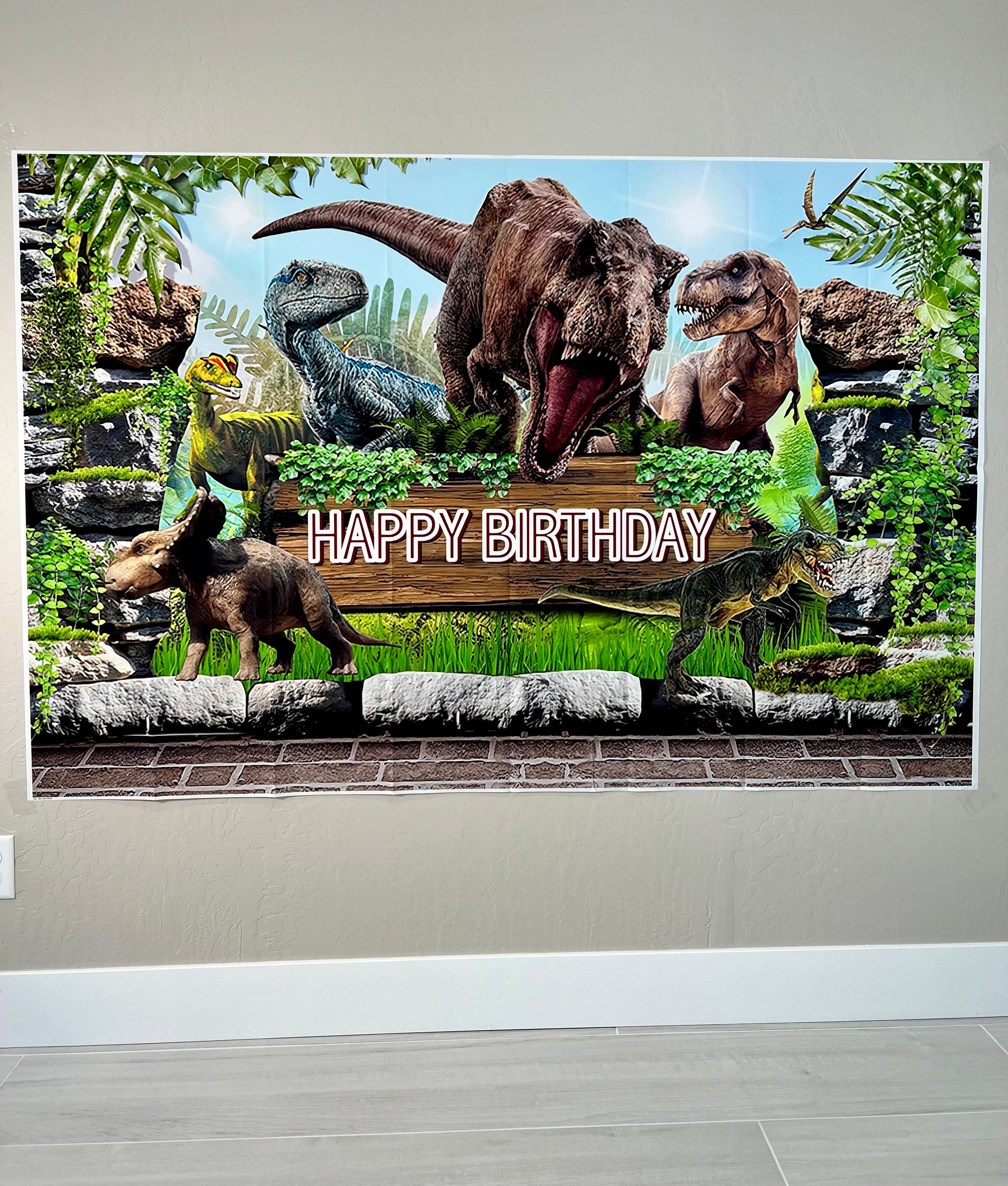 Dinosaur Photo Backdrop – Kids Birthday Party Vinyl Dinosaur Banner