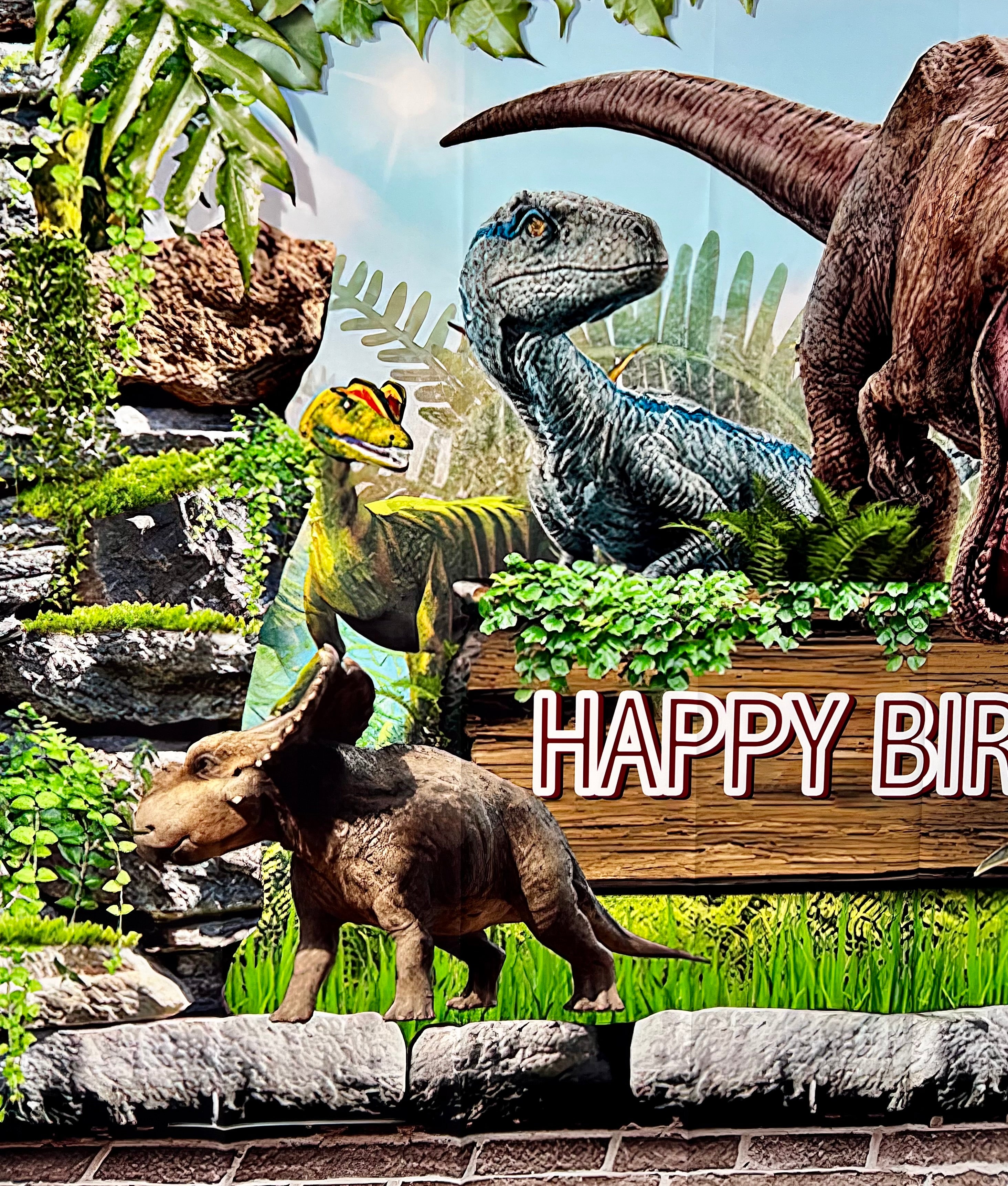 Dinosaur Photo Backdrop – Kids Birthday Party Vinyl Dinosaur Banner