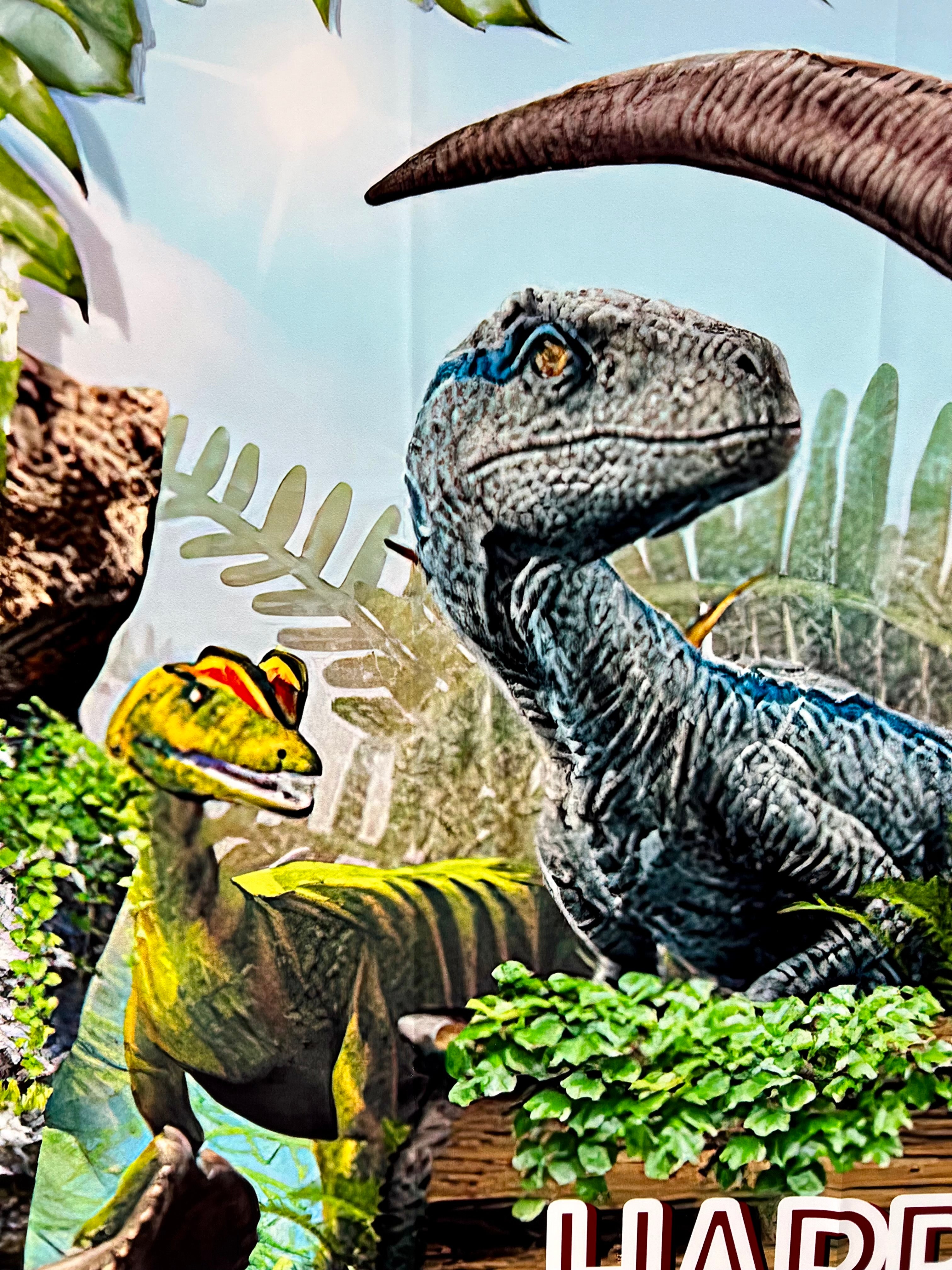 Dinosaur Photo Backdrop – Kids Birthday Party Vinyl Dinosaur Banner