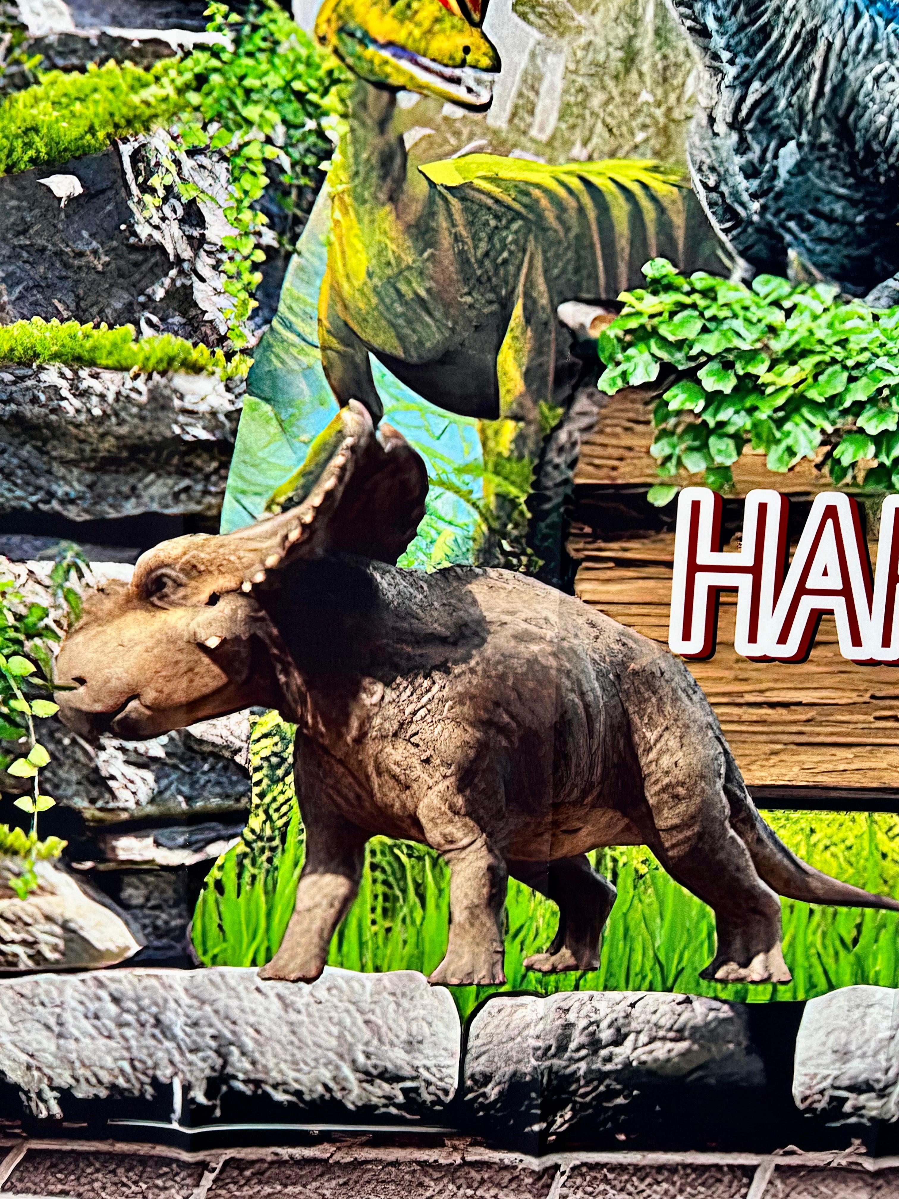 Dinosaur Photo Backdrop – Kids Birthday Party Vinyl Dinosaur Banner