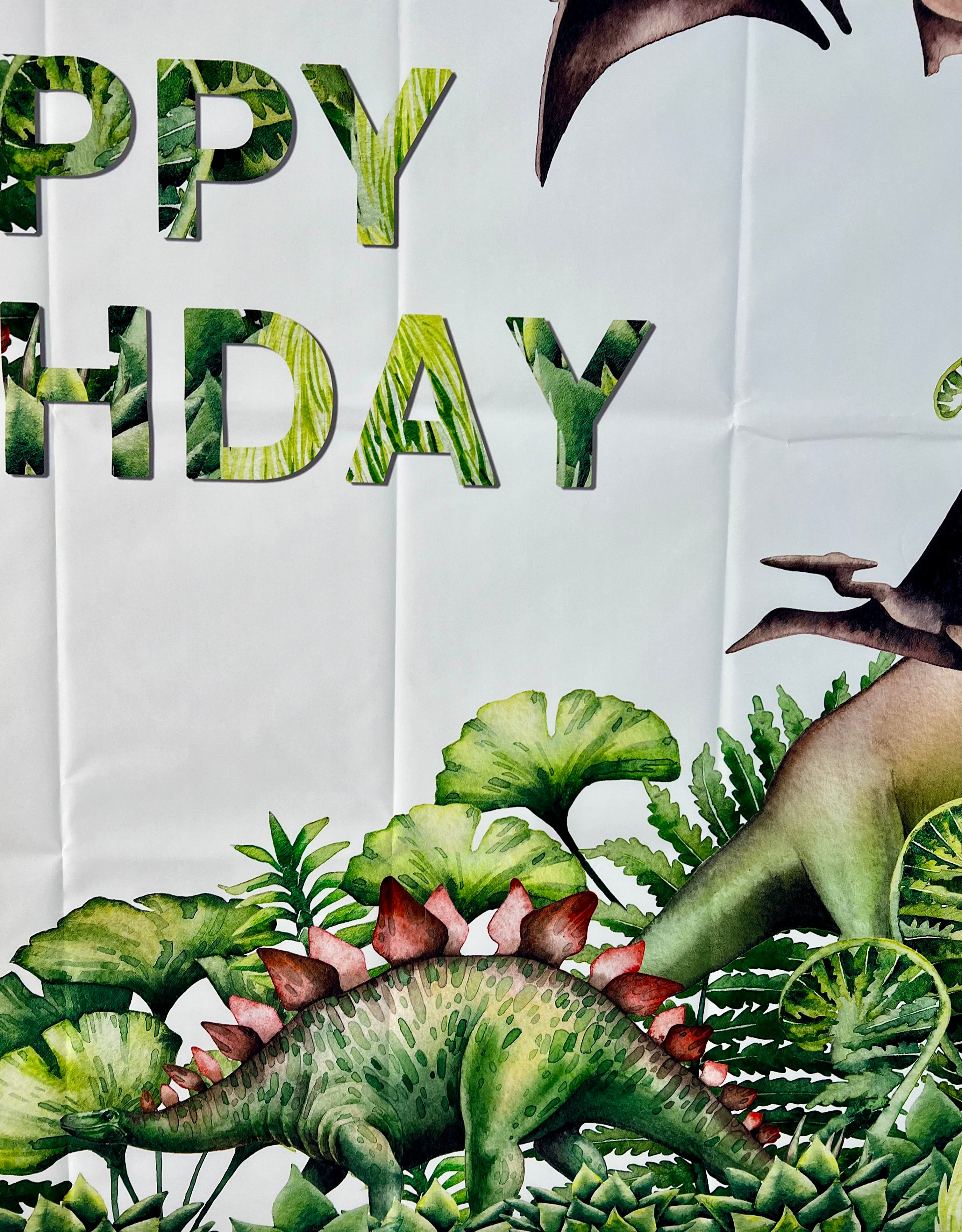 Dinosaur Photo Backdrop – Kids Birthday Party Vinyl Dinosaur Banner