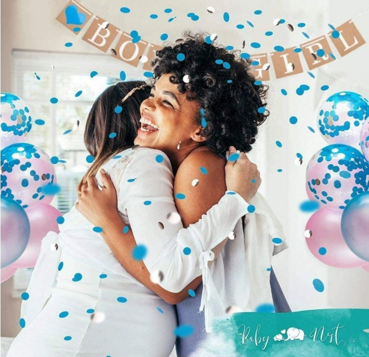 Dinosaur Gender Reveal Party Kit – Pink & Blue Balloon Decor (66-Piece Set)